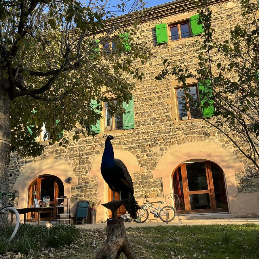 Bed and Breakfast Domaine De Pipangaille Andancette Екстер'єр фото