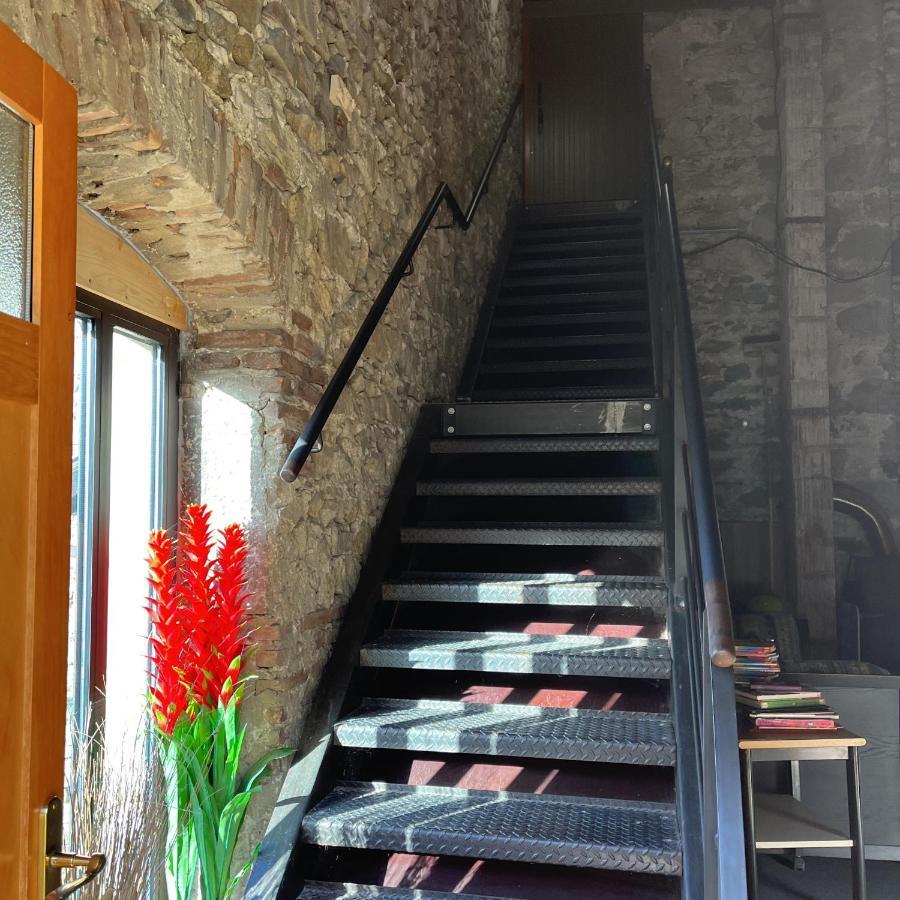 Bed and Breakfast Domaine De Pipangaille Andancette Екстер'єр фото